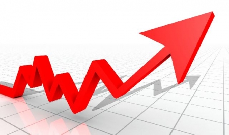 En 2013 el aumento de la Canasta Básica rozó el 32%