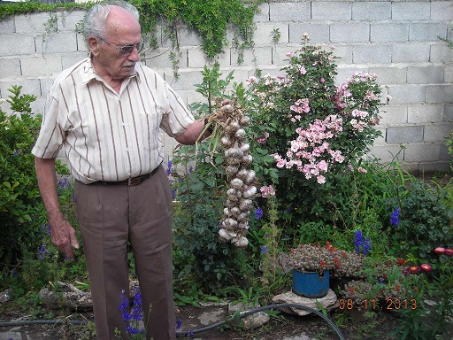 Hugo Santa, experto horticultor