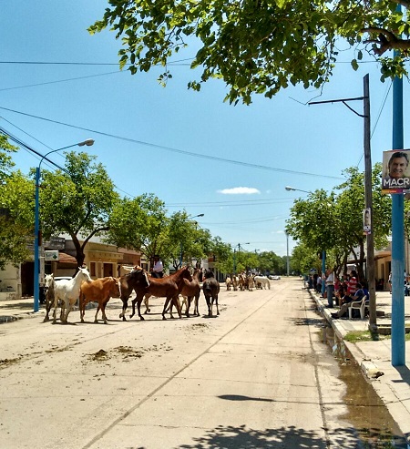 tropillas