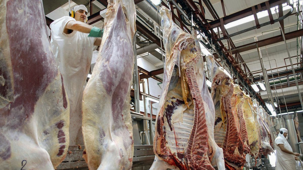 El Gobierno extendió el cepo a la exportación de carne, y la Mesa de Enlace tomará medidas de fuerza